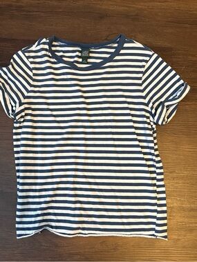 wild fable Blue and White Striped Tee